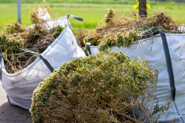 Best Estate Cleanout  in River Forest, IL
